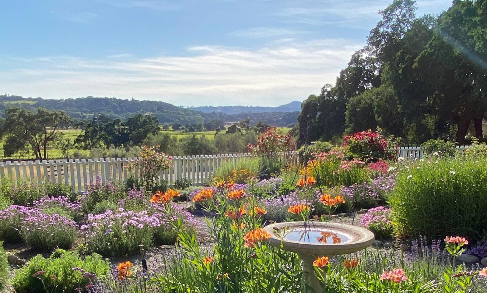 Beltane Ranch Bed & Breakfast Glen Ellen Exterior photo