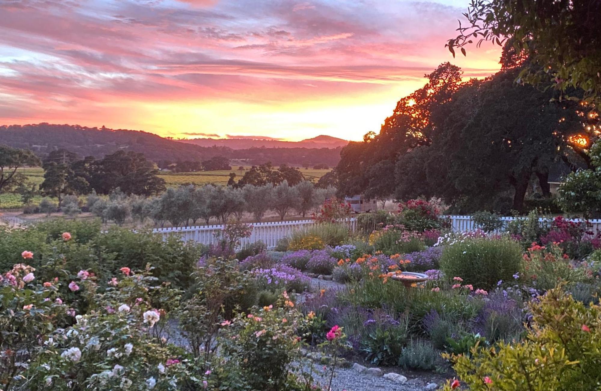 Beltane Ranch Bed & Breakfast Glen Ellen Exterior photo