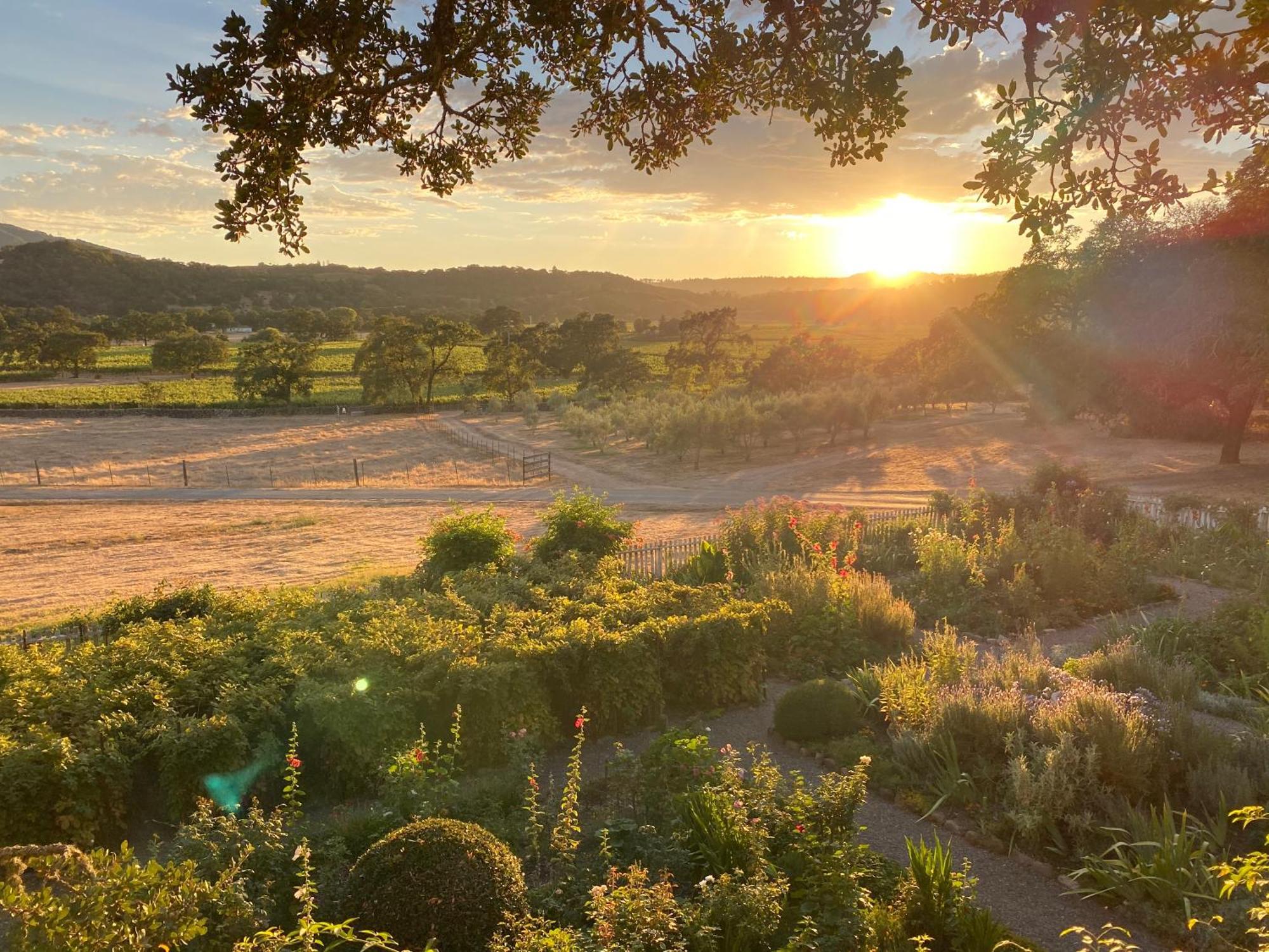 Beltane Ranch Bed & Breakfast Glen Ellen Exterior photo