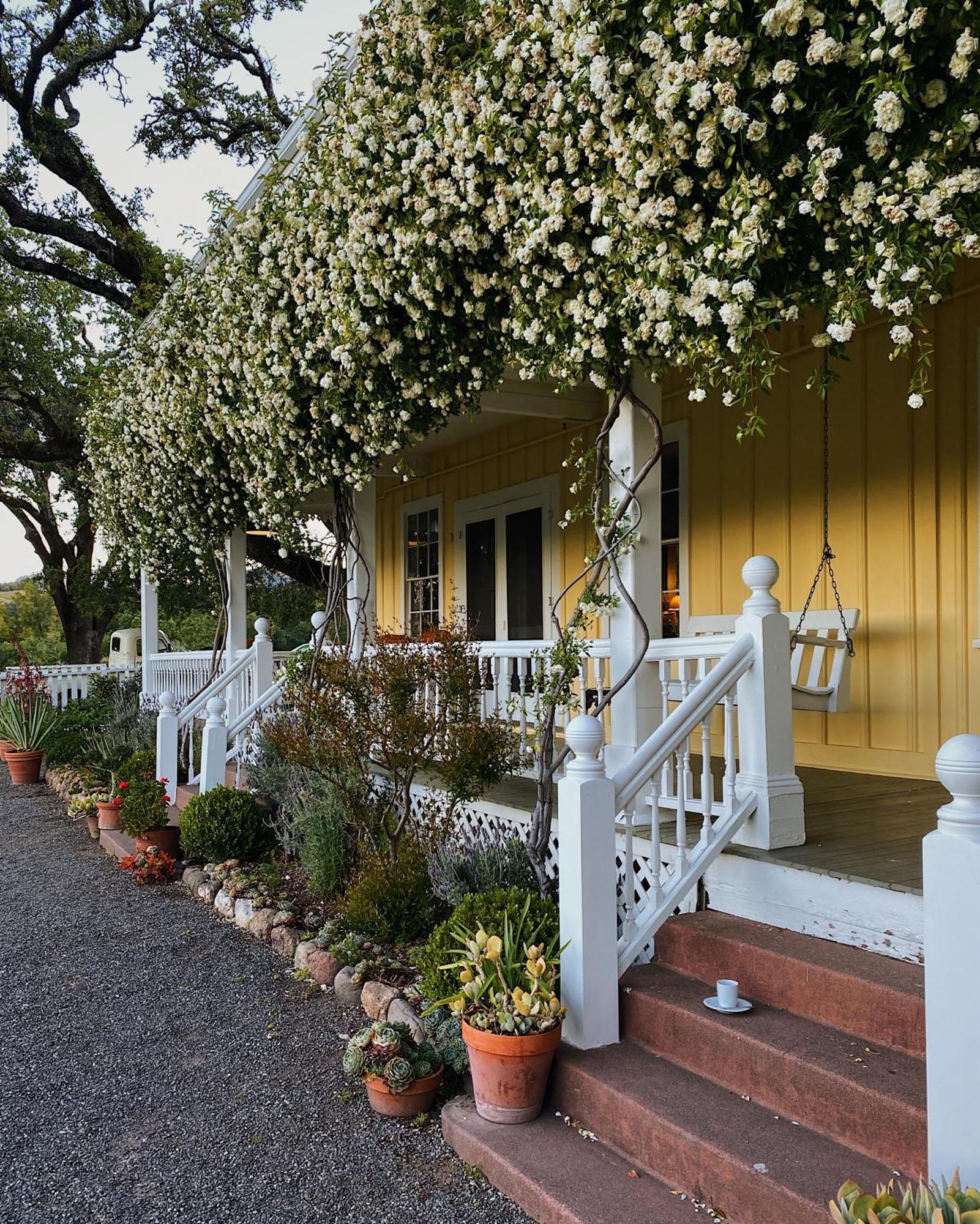 Beltane Ranch Bed & Breakfast Glen Ellen Exterior photo