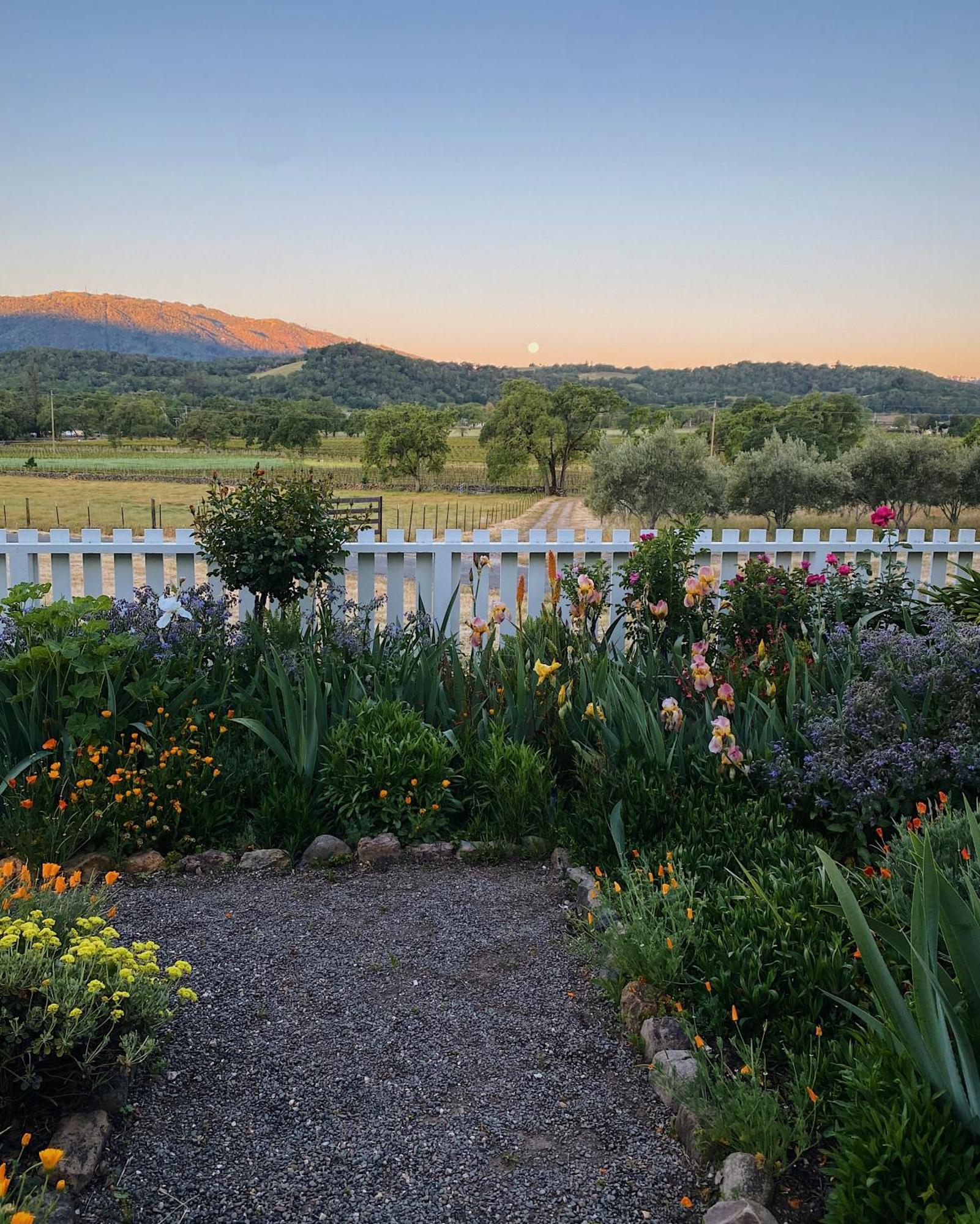 Beltane Ranch Bed & Breakfast Glen Ellen Exterior photo